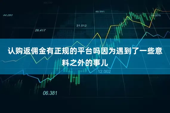 认购返佣金有正规的平台吗因为遇到了一些意料之外的事儿